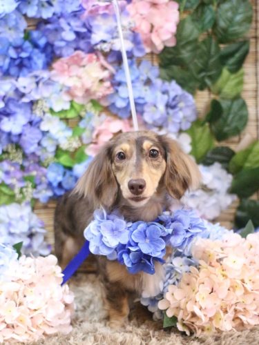 20250626エマちゃん